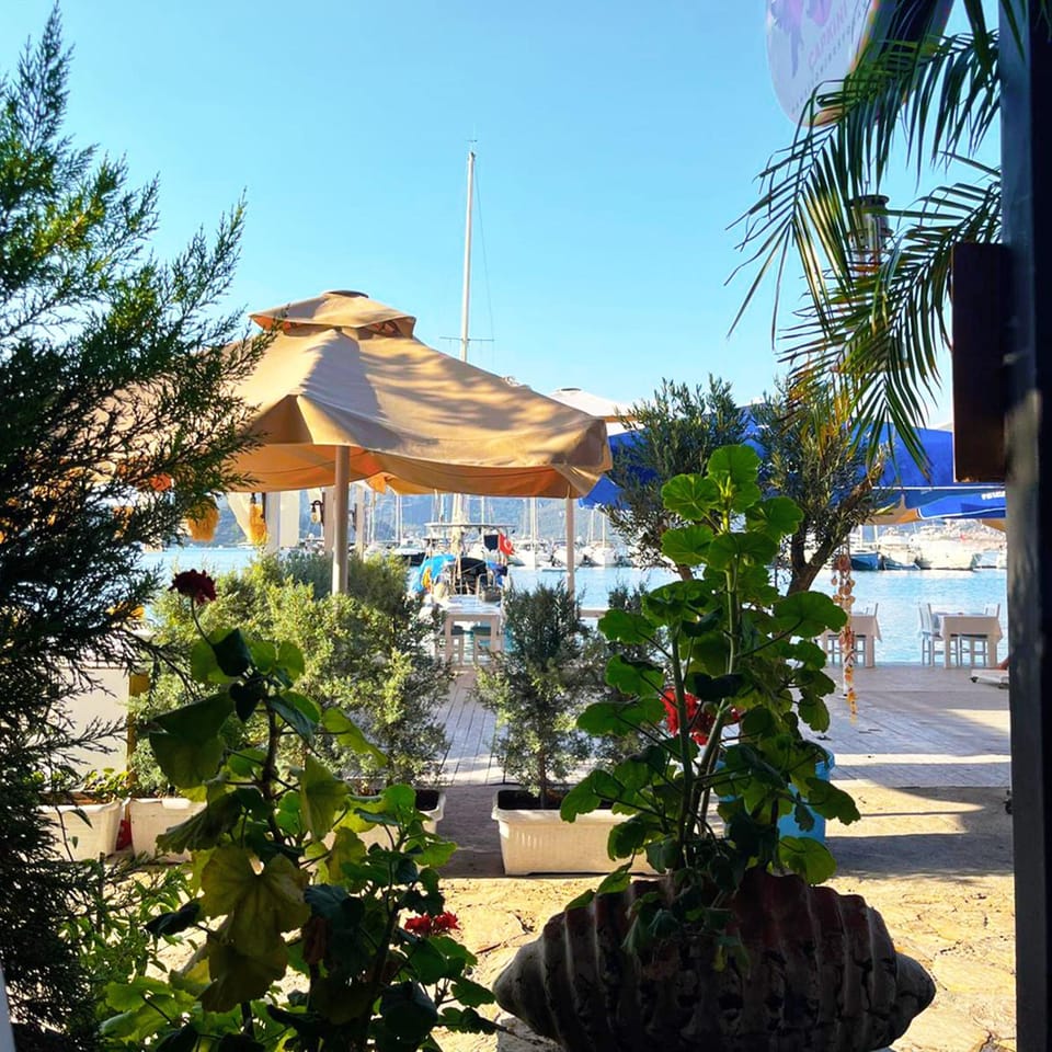 Natural landscape, Garden, Coffee/tea facilities, Beach, Garden view, Sea view, Breakfast, Buffet breakfast