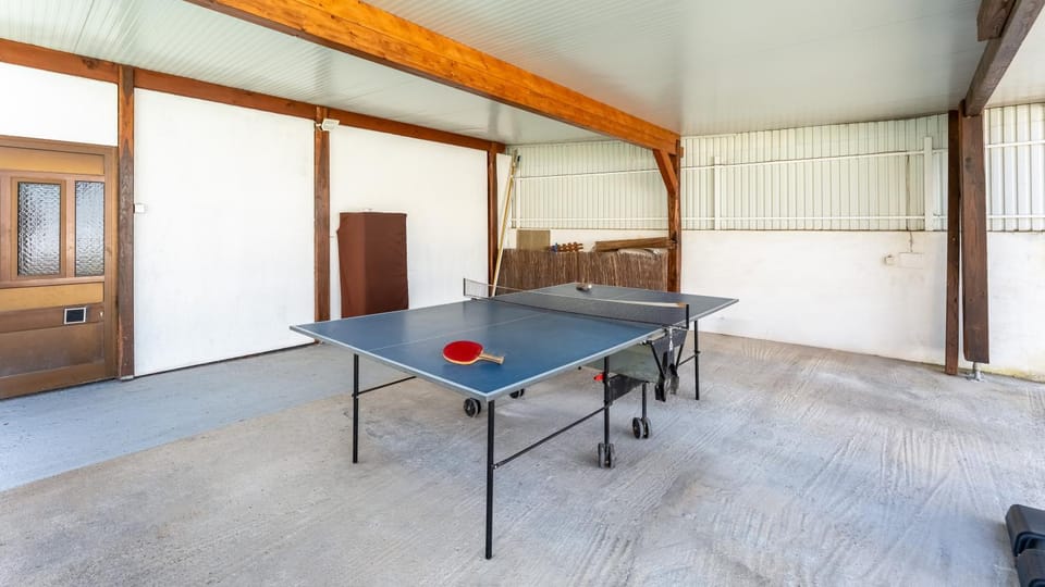Table tennis
