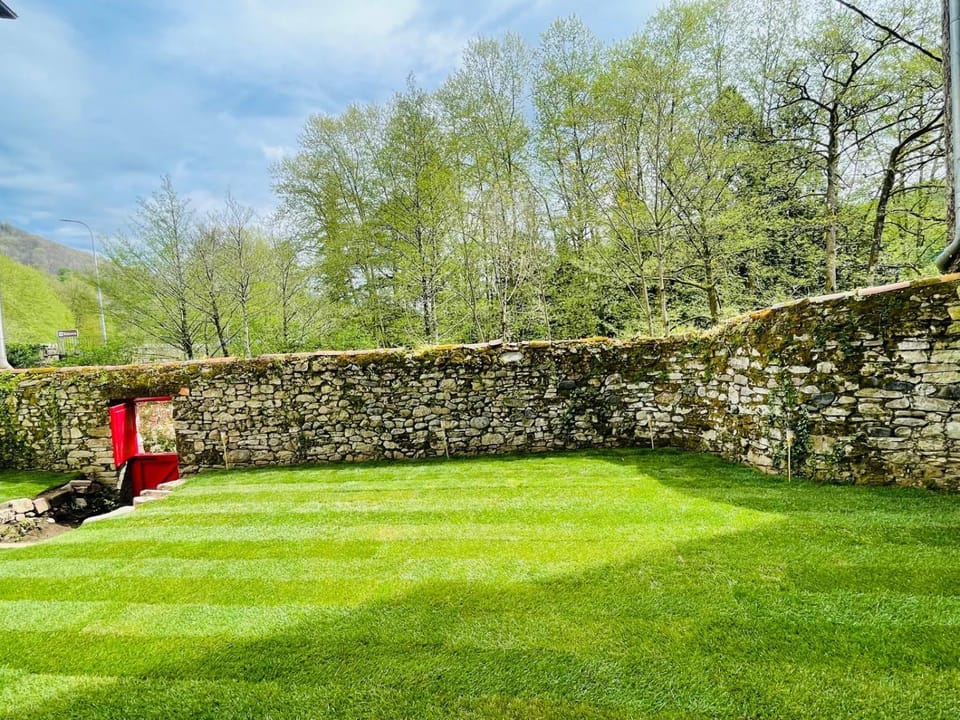 Garden, Garden view, Garden view