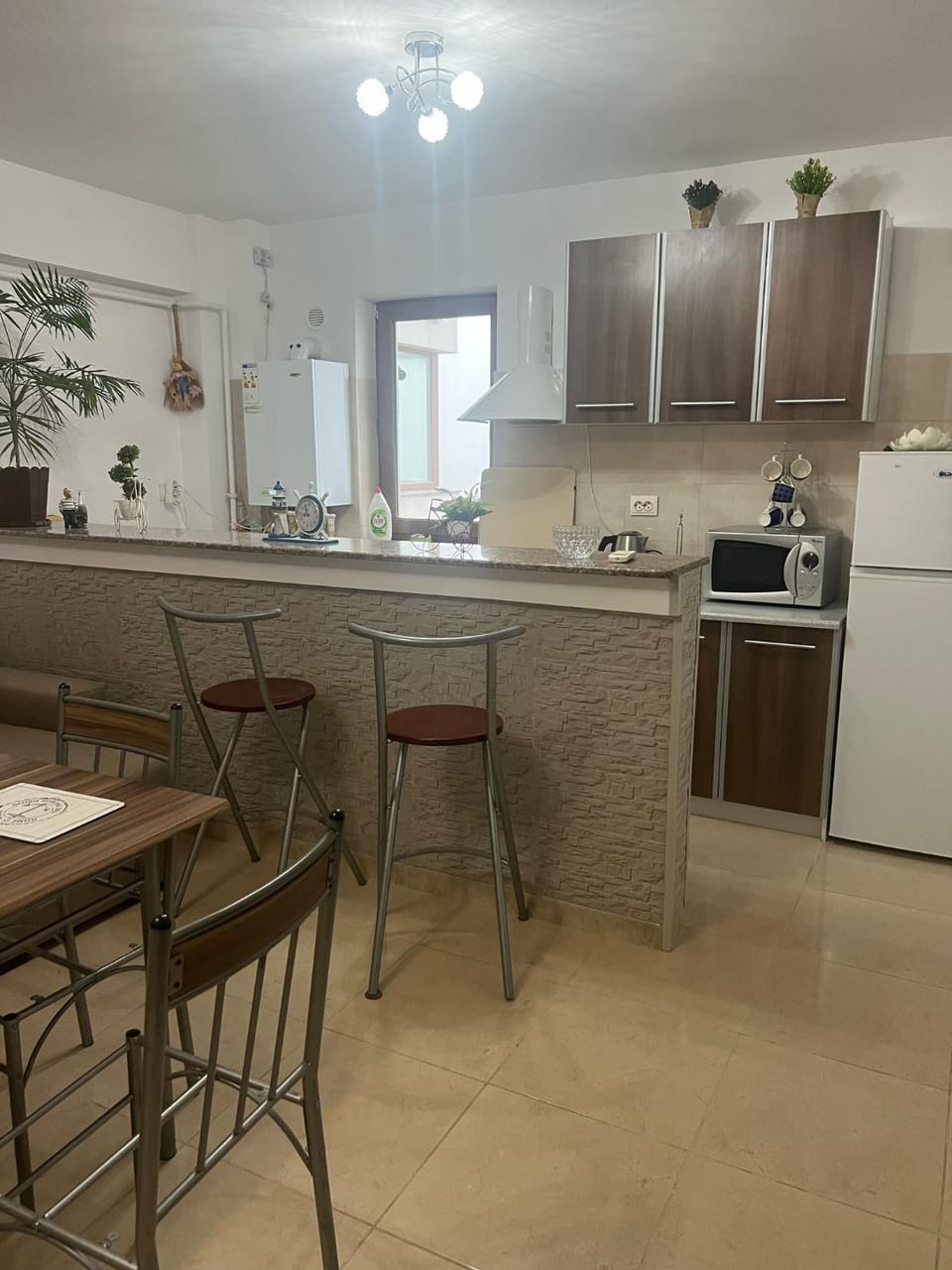 Coral Apartment in Constanța County