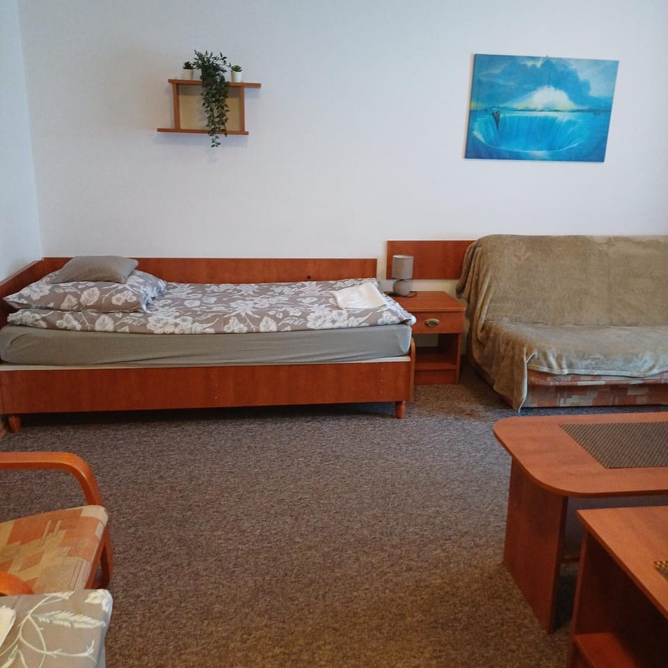 Noclegi u Aguni Apartment in Lesser Poland Voivodeship