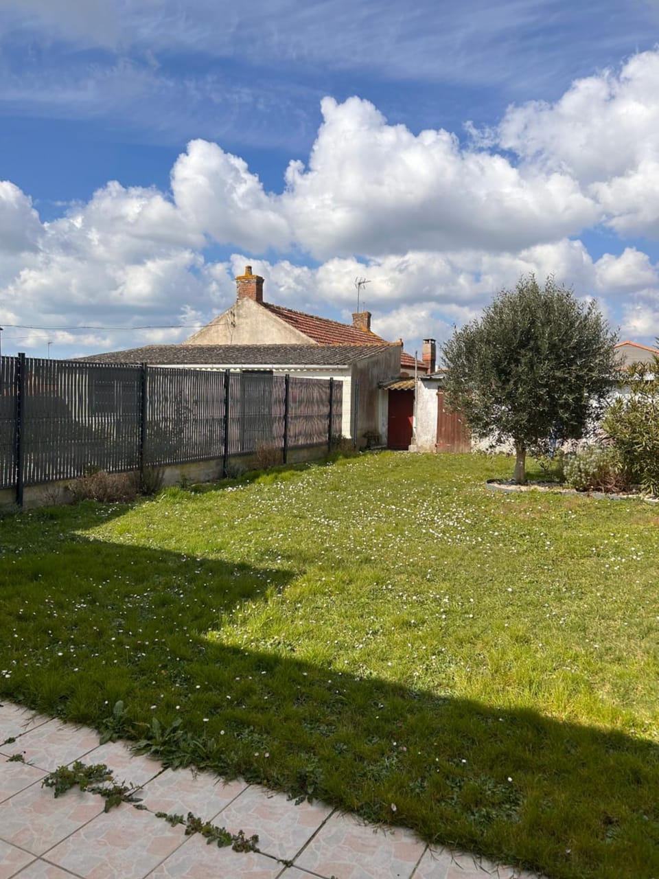 Spring, Day, Natural landscape, Garden, Garden view