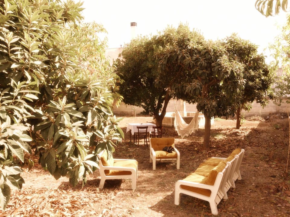 Natural landscape, Garden, Garden view, sunbed