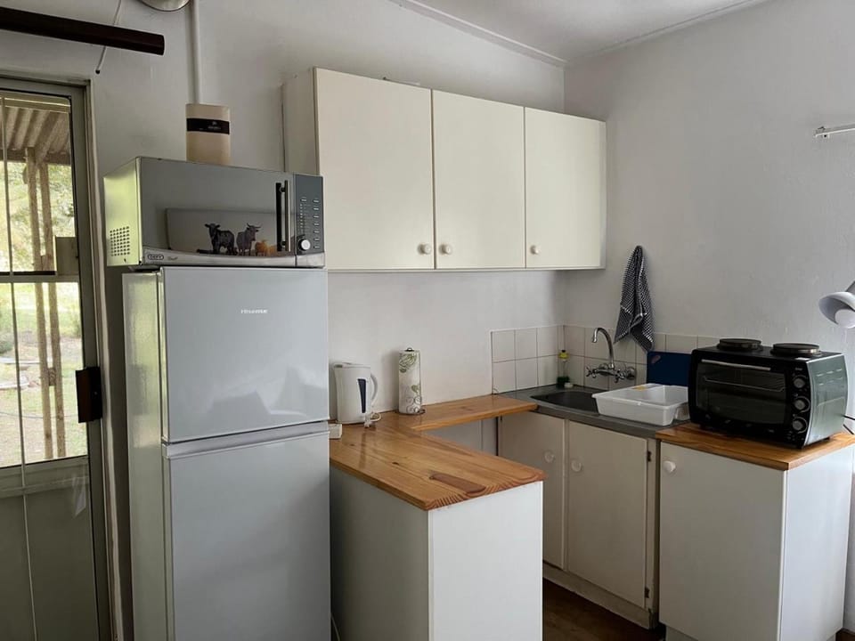 Kitchen or kitchenette, microwave, kitchen