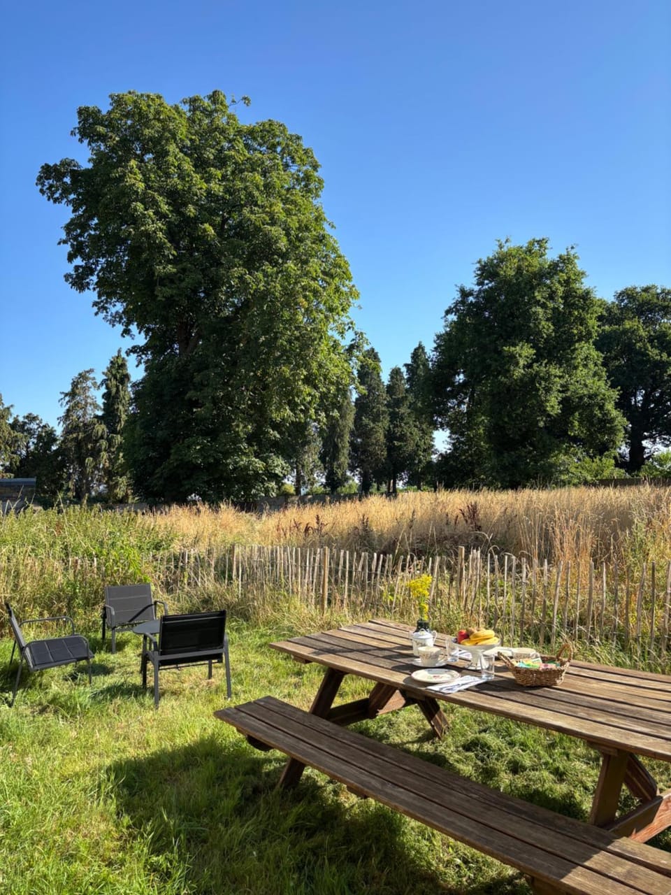 Spring, Day, Natural landscape, Garden, Garden view, Breakfast, Breakfast