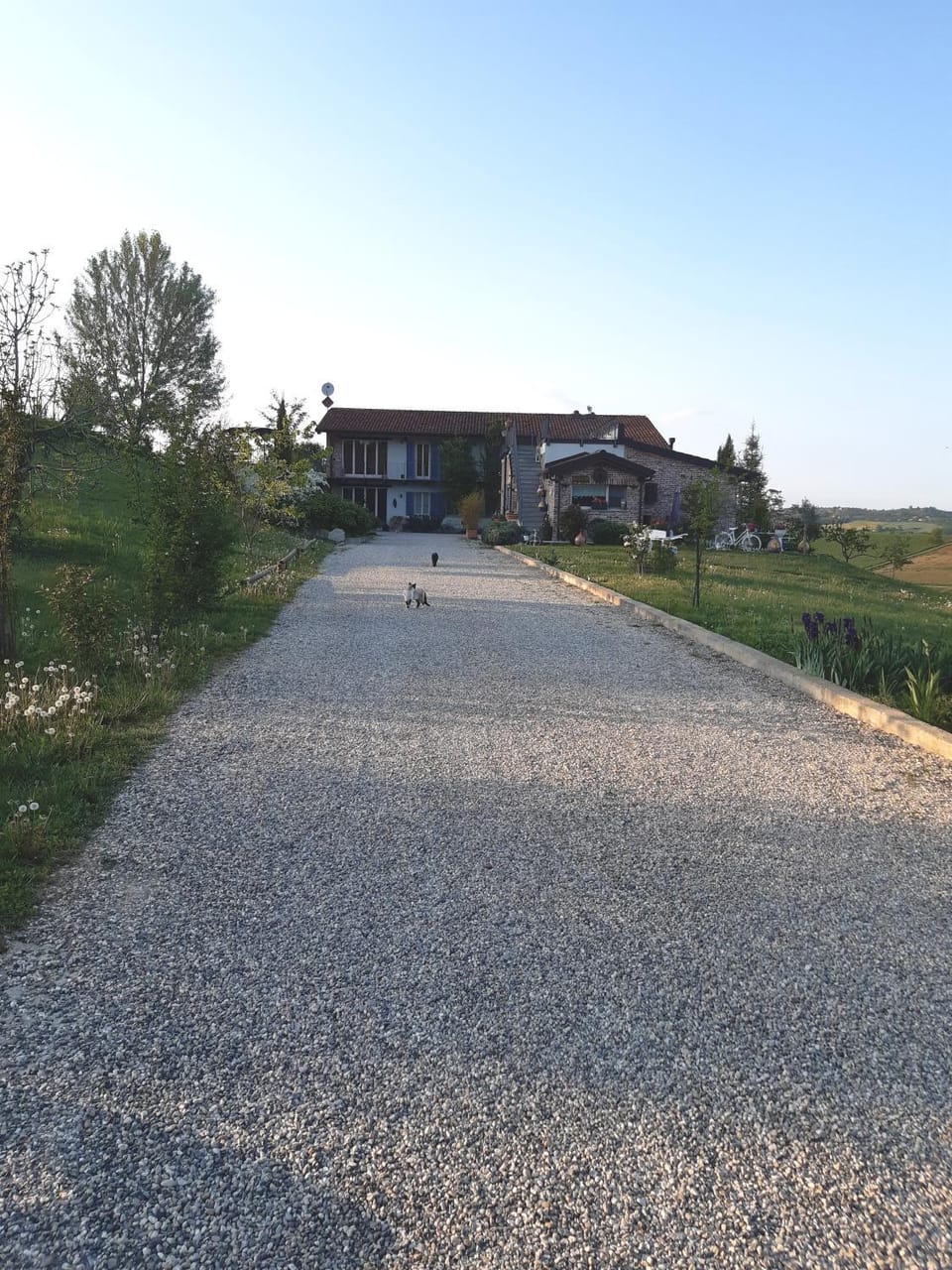 Property building, Garden