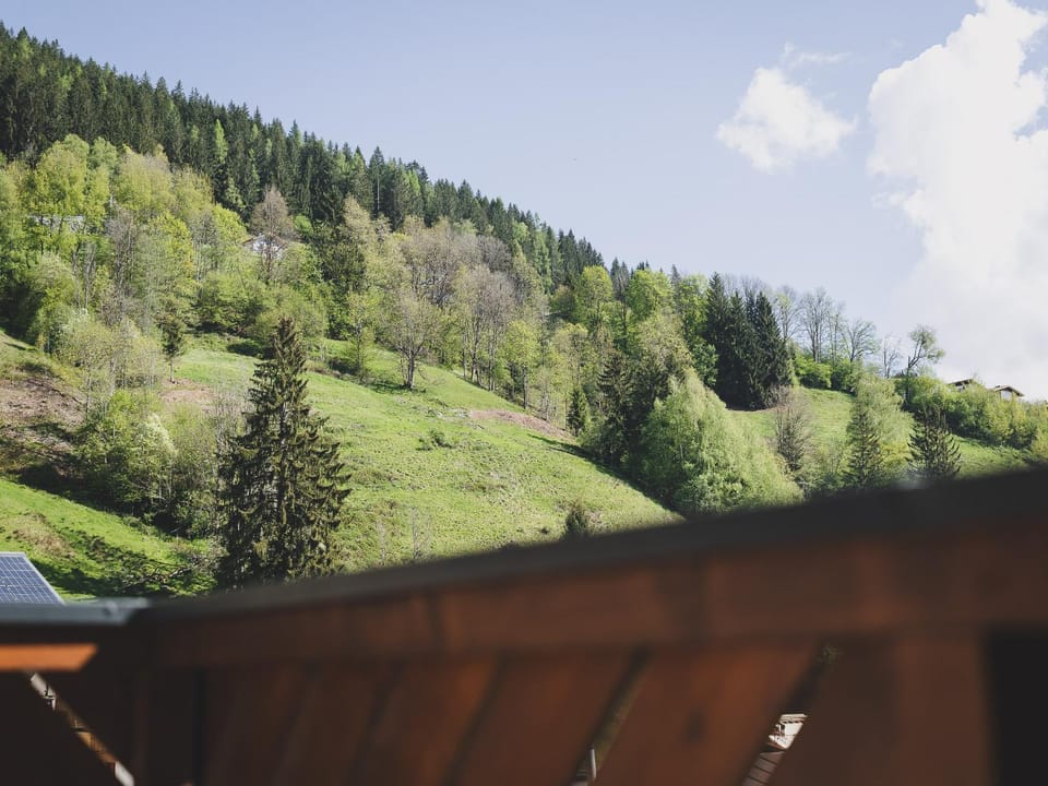 Spring, Mountain view