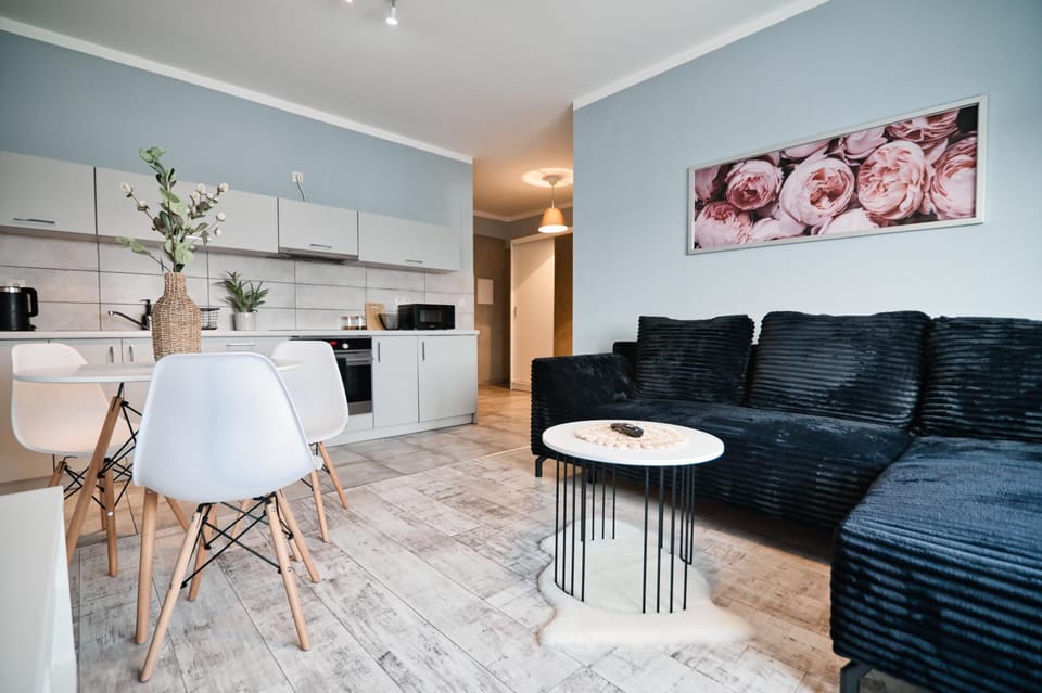 Kitchen or kitchenette, Living room, Seating area, Dining area, stove