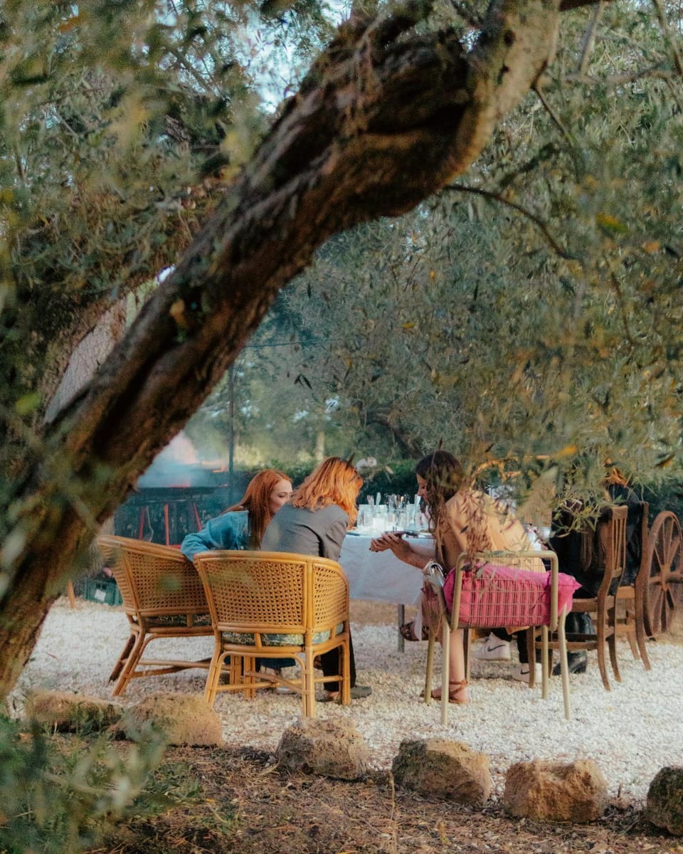 People, Garden, group of guests