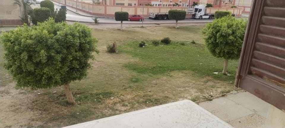 Natural landscape, Garden, Garden view