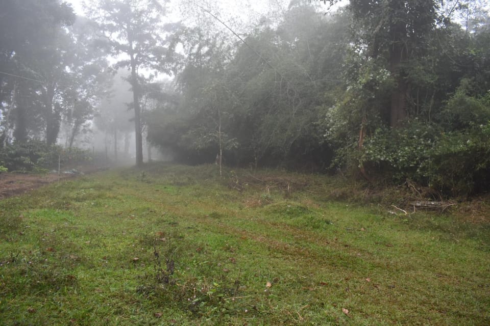Natural landscape