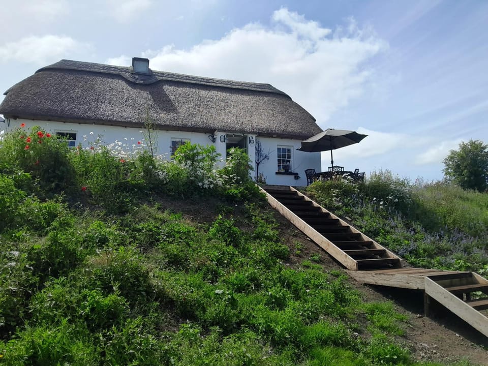 Property building, Garden view