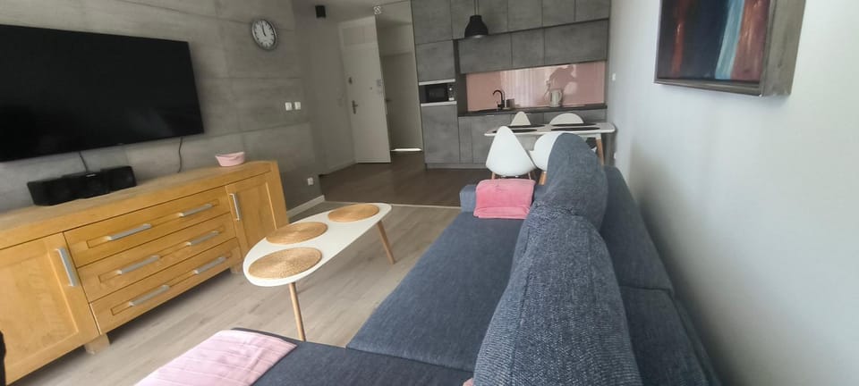 Apartament Gray Bliżej Morza Apartment in West Pomeranian Voivodeship, Poland