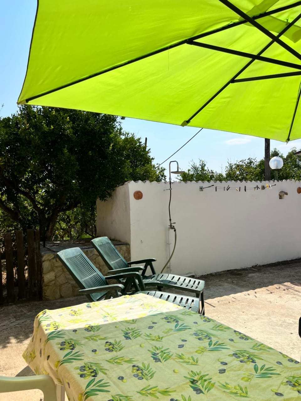 Garden, Garden view, sunbed