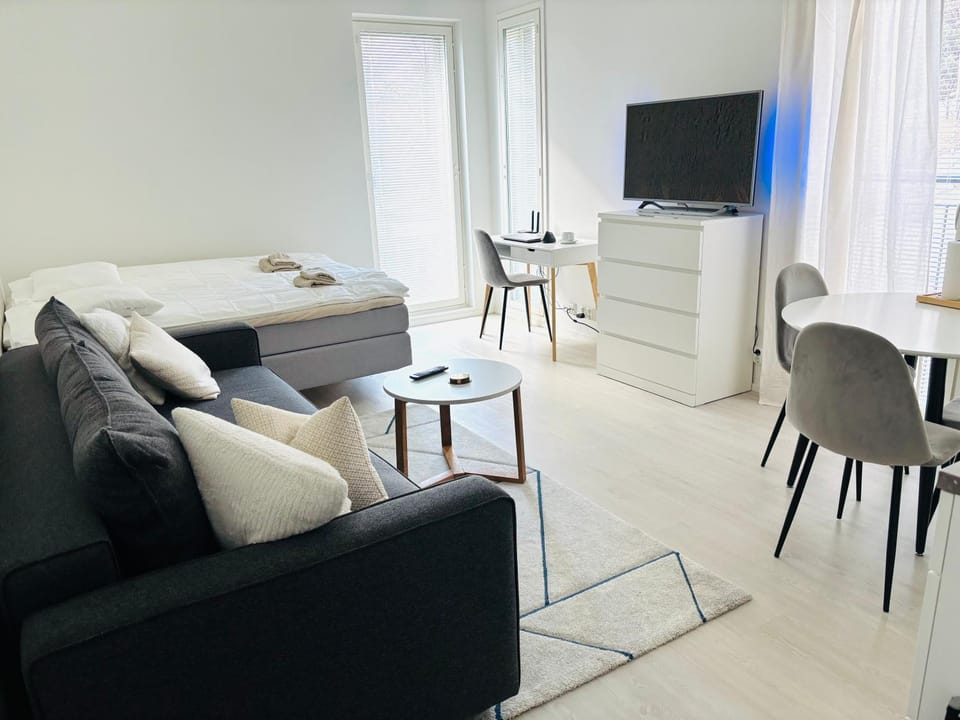 Bed, TV and multimedia, Living room, Photo of the whole room, Decorative detail, Seating area, Dining area, Evening entertainment, Bedroom, flat iron, furniture, furniture, wardrobe