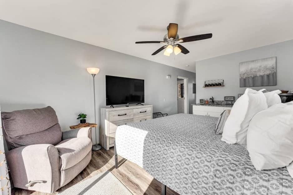 Bed, TV and multimedia, Kitchen or kitchenette, Photo of the whole room, Bedroom