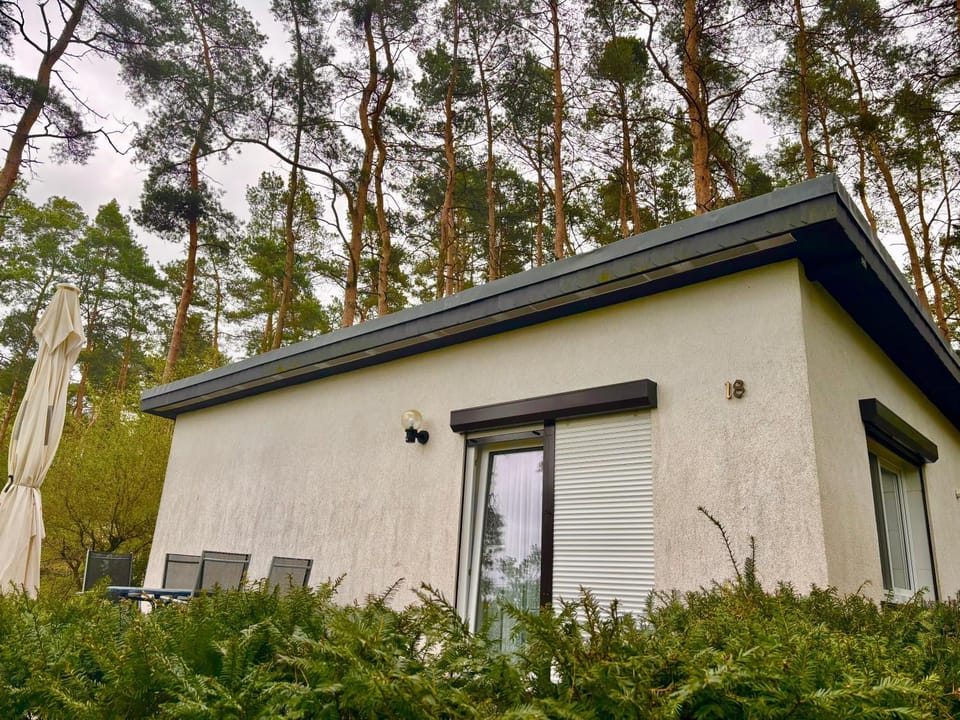 Ferienhaus Stefanie House in Saxony-Anhalt, Germany