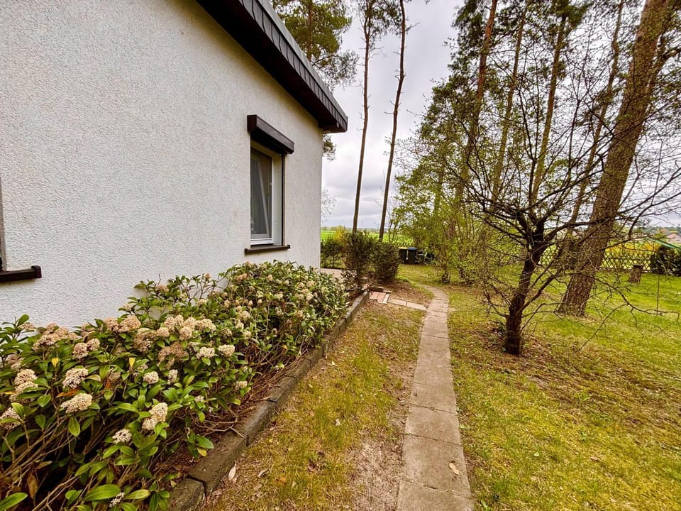 Ferienhaus Stefanie House in Saxony-Anhalt, Germany