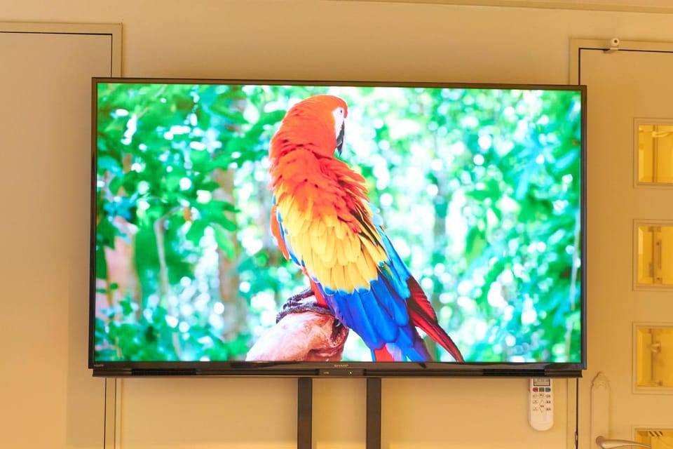 TV and multimedia