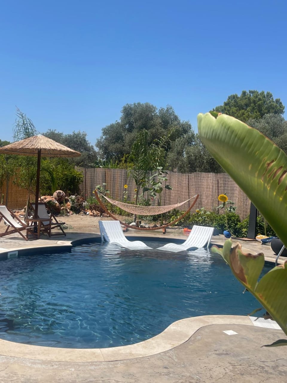 Day, Garden, Garden view, Pool view, Swimming pool, sunbed