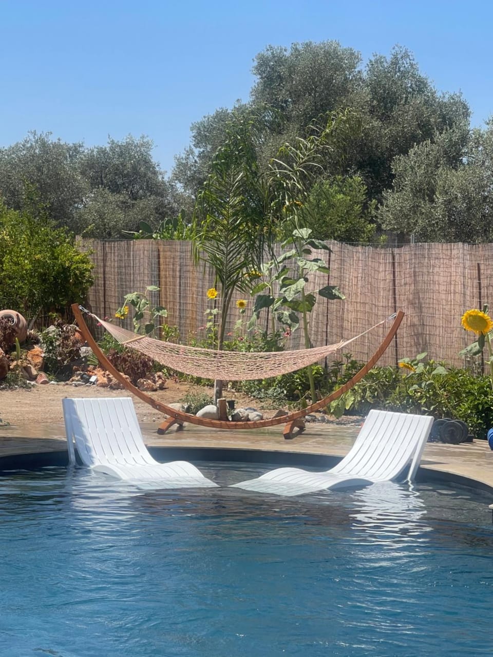 Garden, Garden view, Pool view, Swimming pool, sunbed