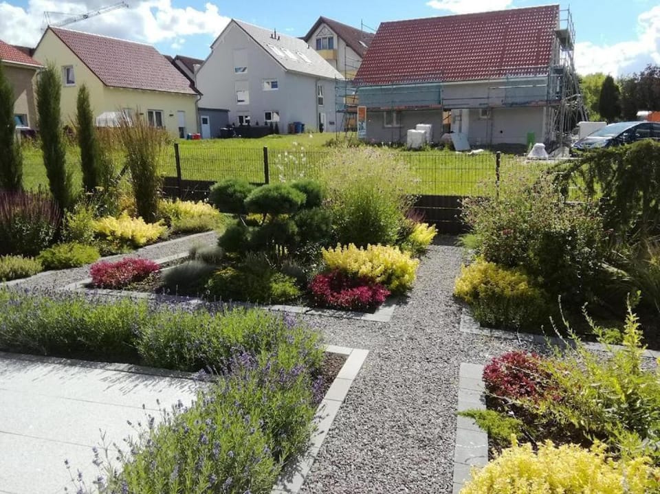 Garden view