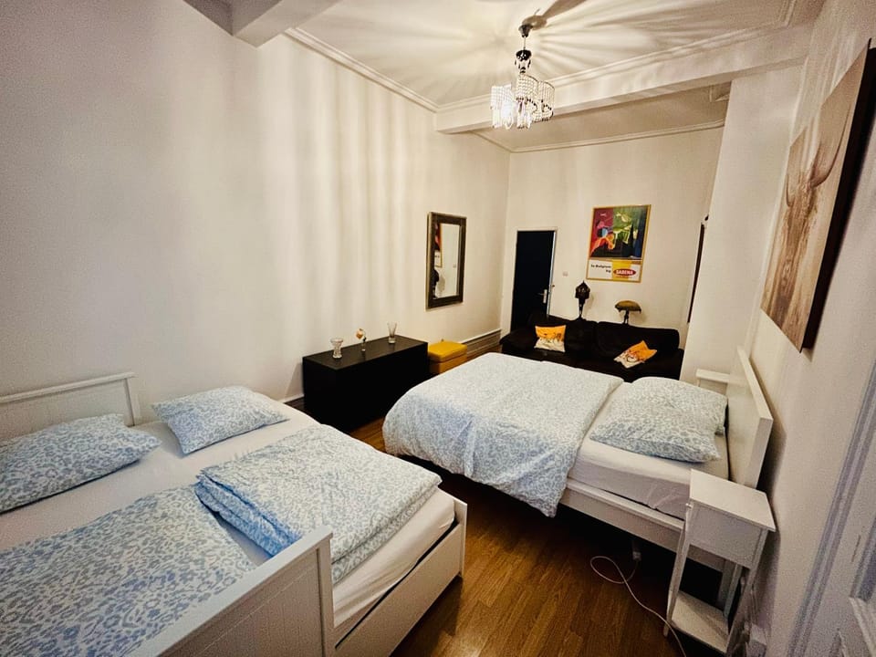 appartement spacieux en centre ville Apartment in Strasbourg
