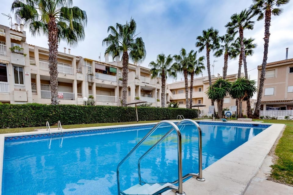 Garden, Swimming pool, Swimming pool
