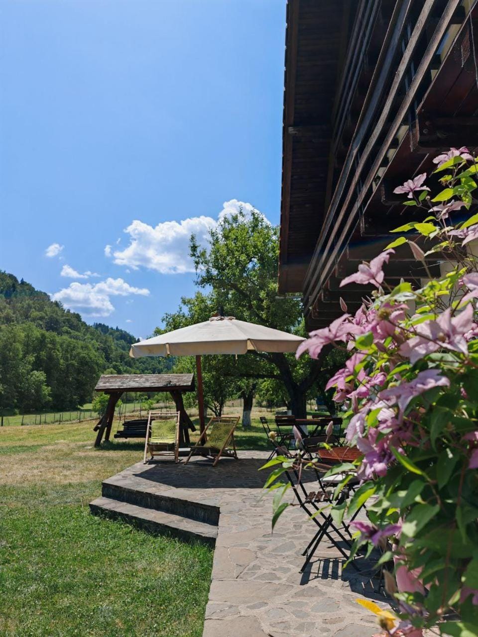 Day, Natural landscape, Garden