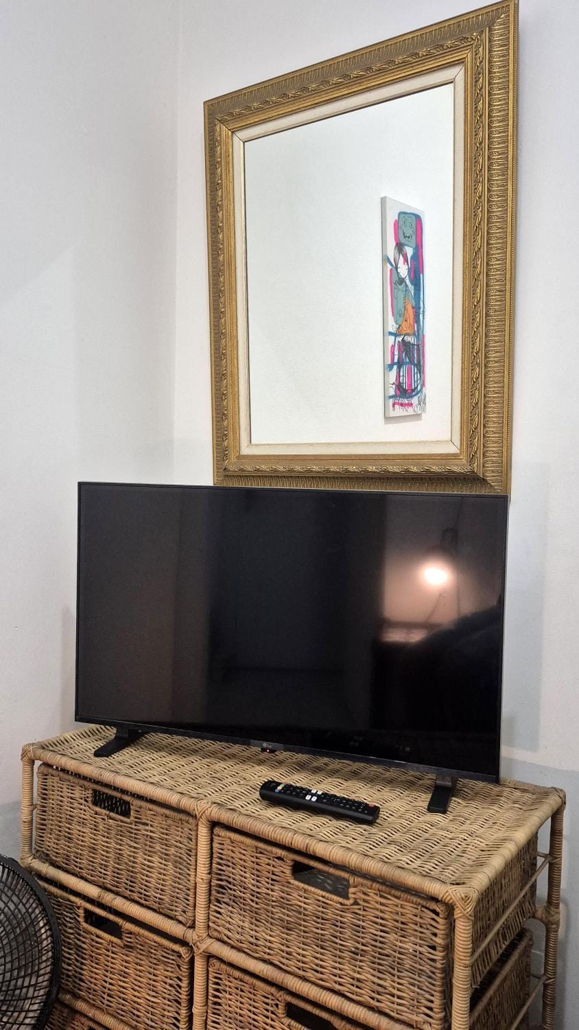 TV and multimedia