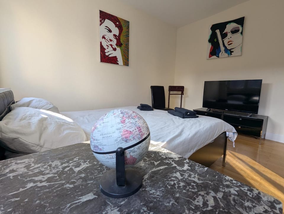 Rooftop-Apartment Citylage Apartment in Offenburg