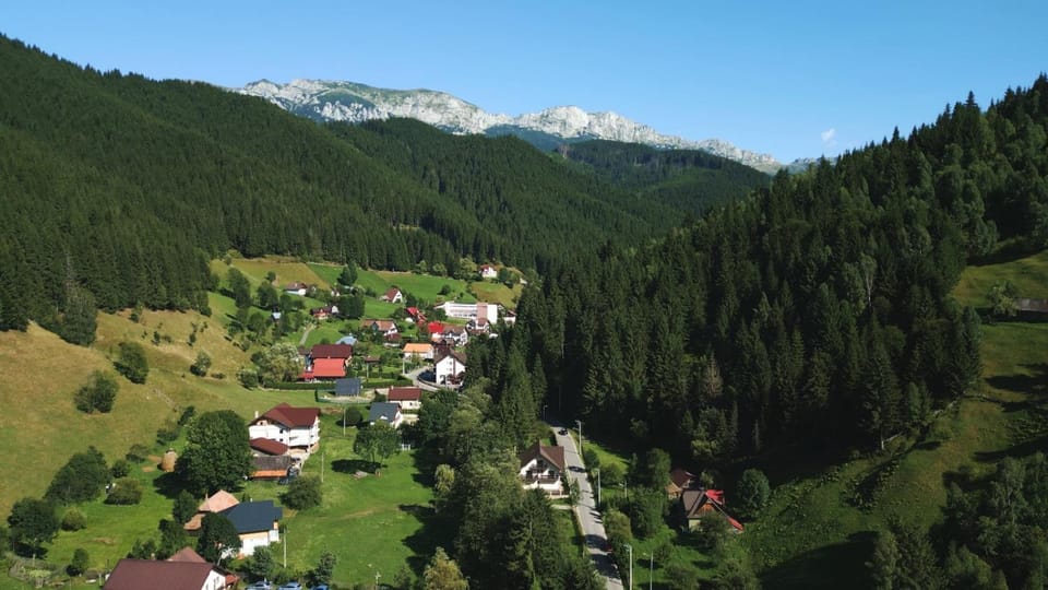 Vila Green & White Bed and Breakfast in Brașov County