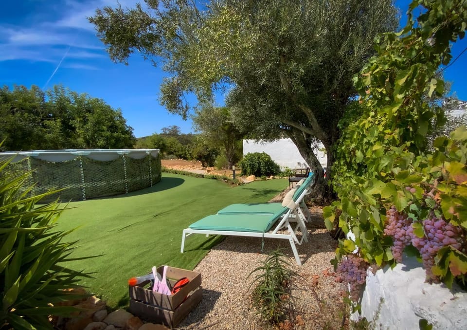 Garden, Garden, Swimming pool, sunbed