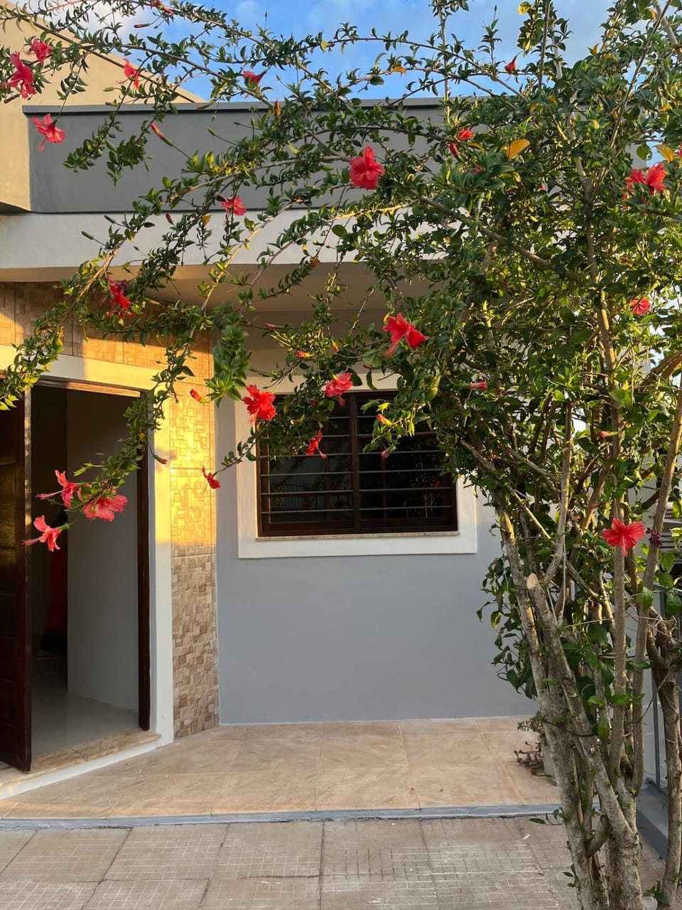 Property building, Spring