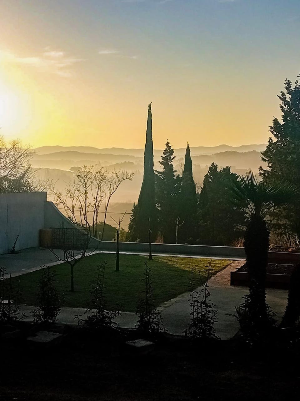 Natural landscape, Garden, Garden view, Sunrise