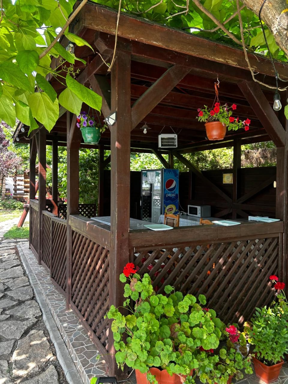 Salcia Pletoasa Bed and Breakfast in Romania