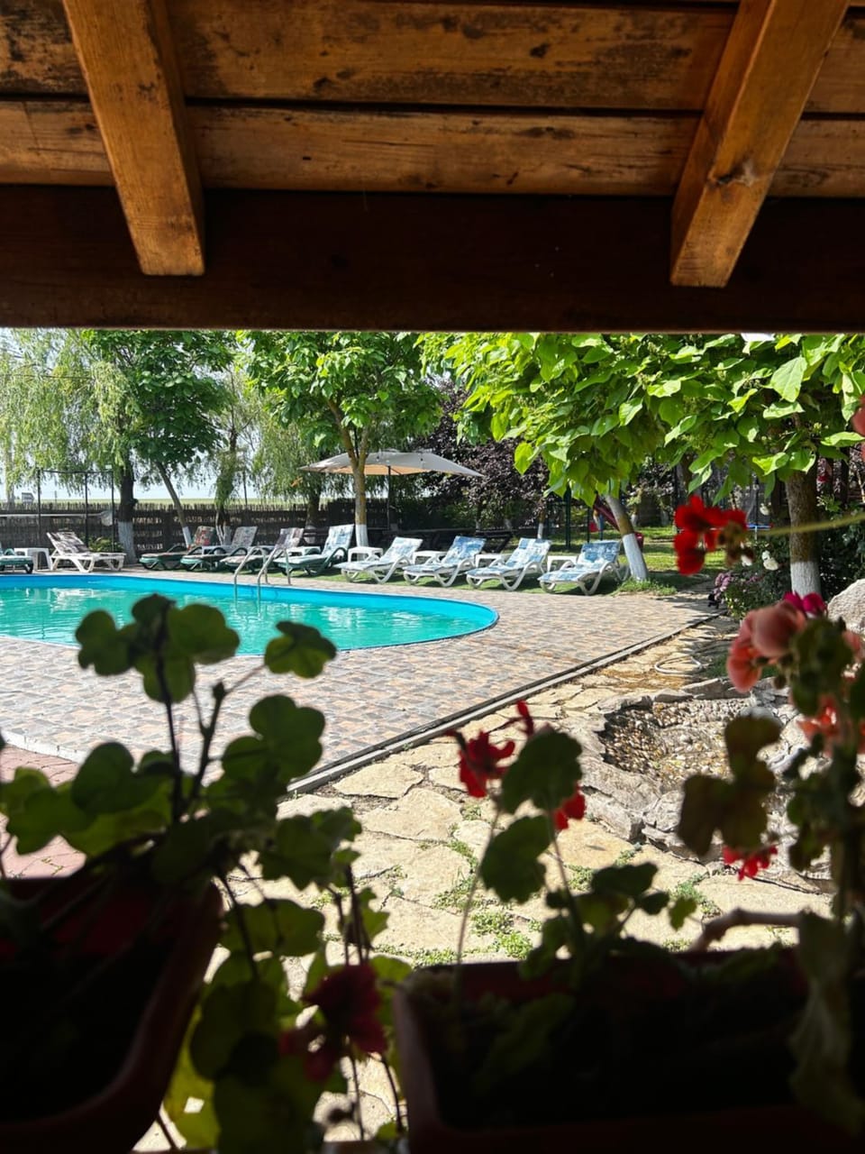 Salcia Pletoasa Bed and Breakfast in Romania