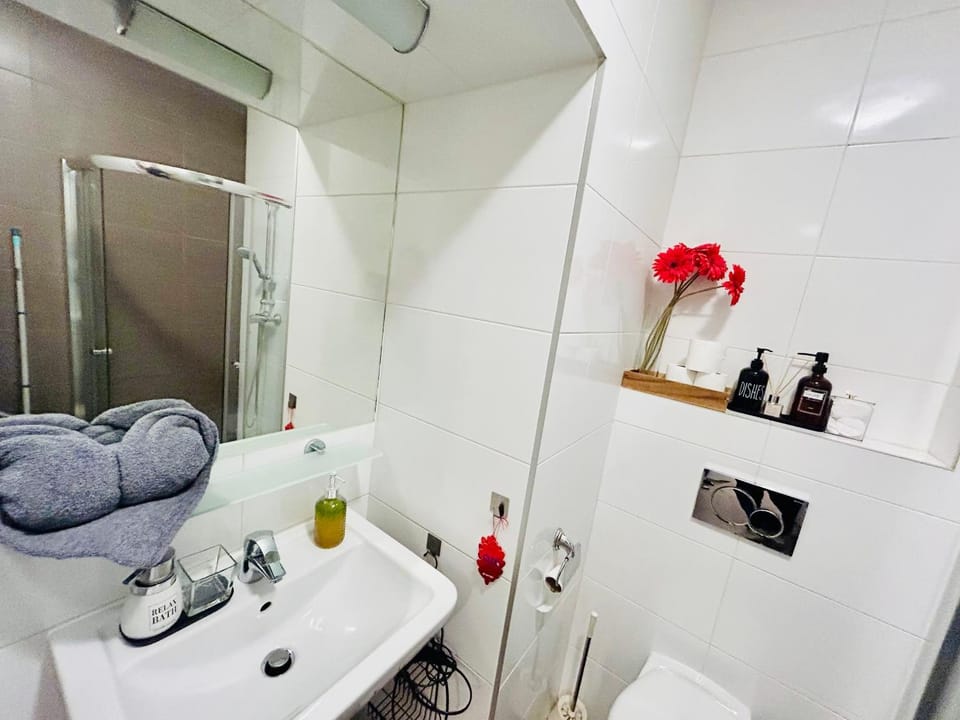 Luxury and cozy apartment Vinohrady Prague Apartment in Prague