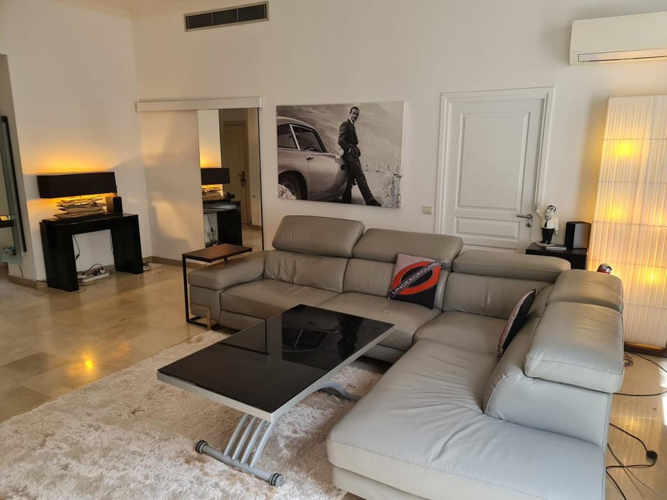 Center palais Apartment in Cannes