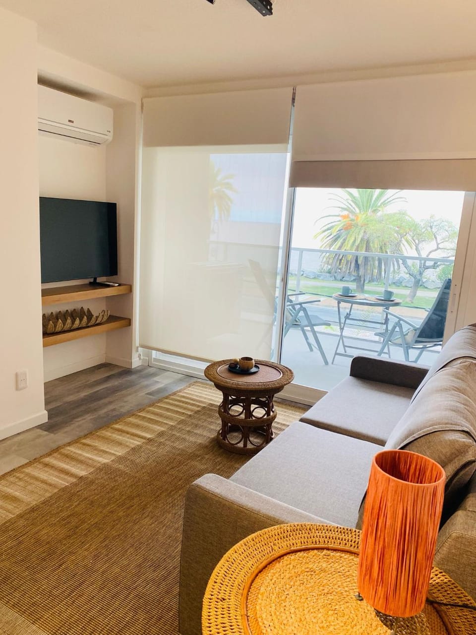 Communal lounge/ TV room, Living room, air conditioner