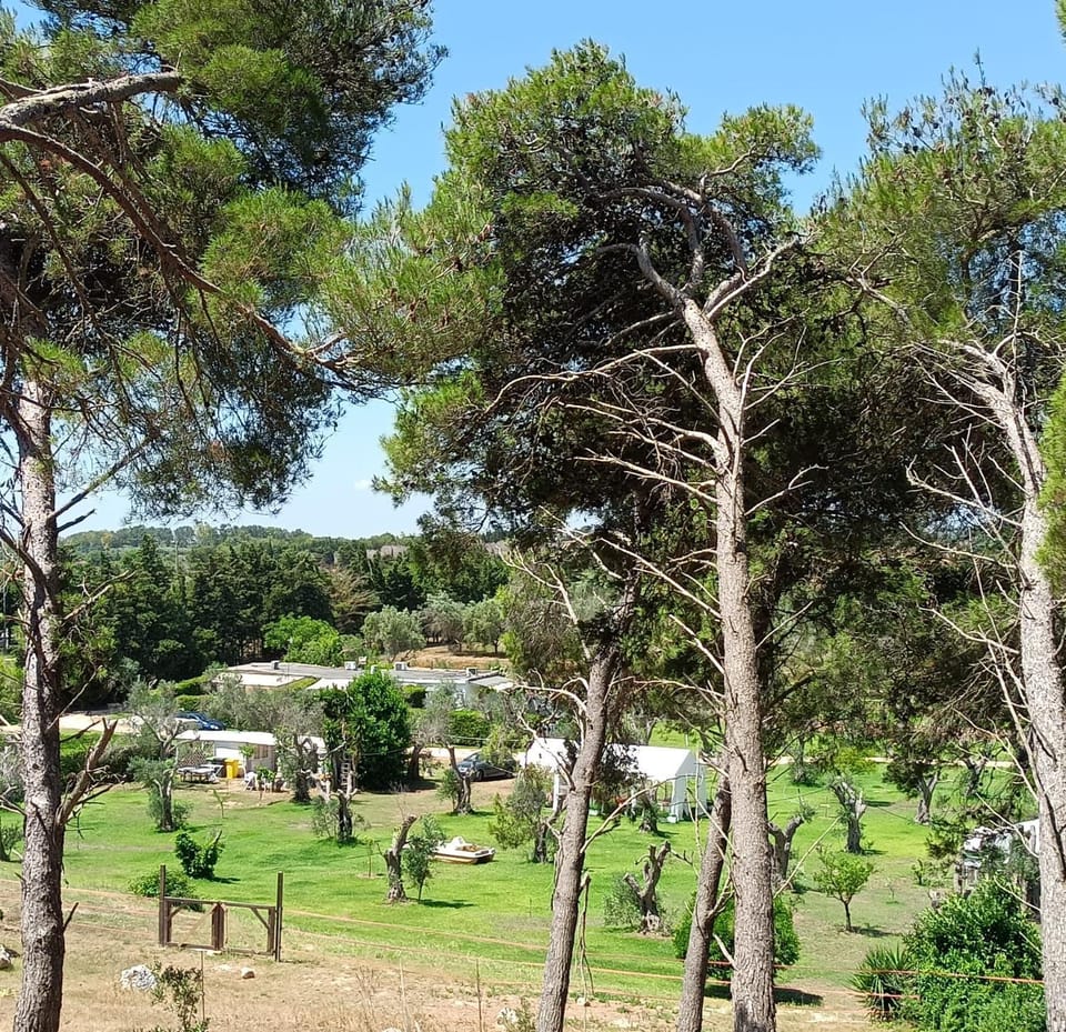 Agriturismo Massaro Pietro Farm Stay in Apulia