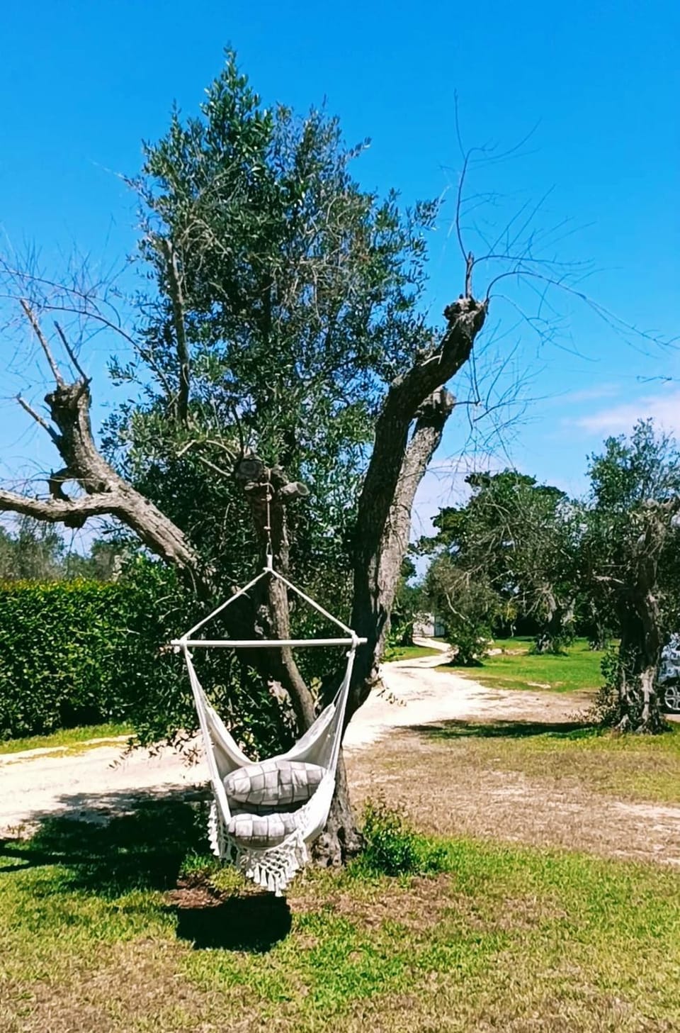 Agriturismo Massaro Pietro Farm Stay in Apulia