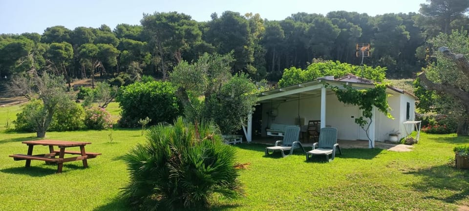 Agriturismo Massaro Pietro Farm Stay in Apulia