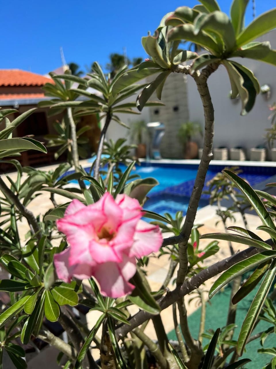 La casa da ilha House in Marechal Deodoro
