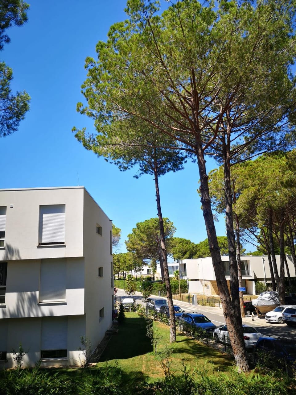 Property building, Spring, Day, Neighbourhood, Natural landscape, Street view, Parking