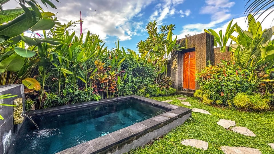 Spring, Day, Natural landscape, Garden, Garden view, Pool view, Swimming pool, Swimming pool