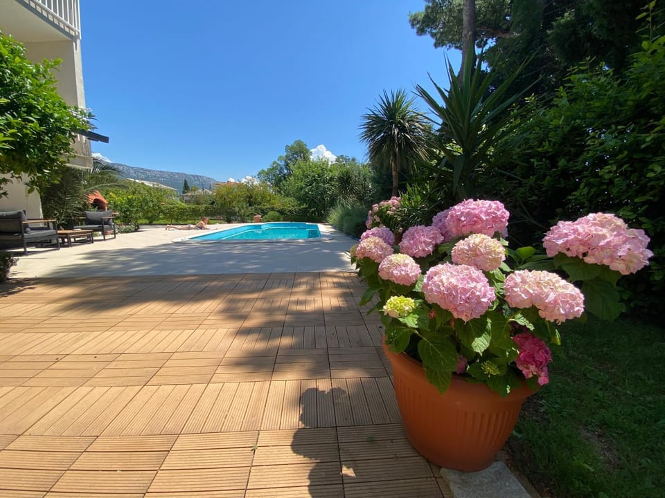 Garden, Swimming pool