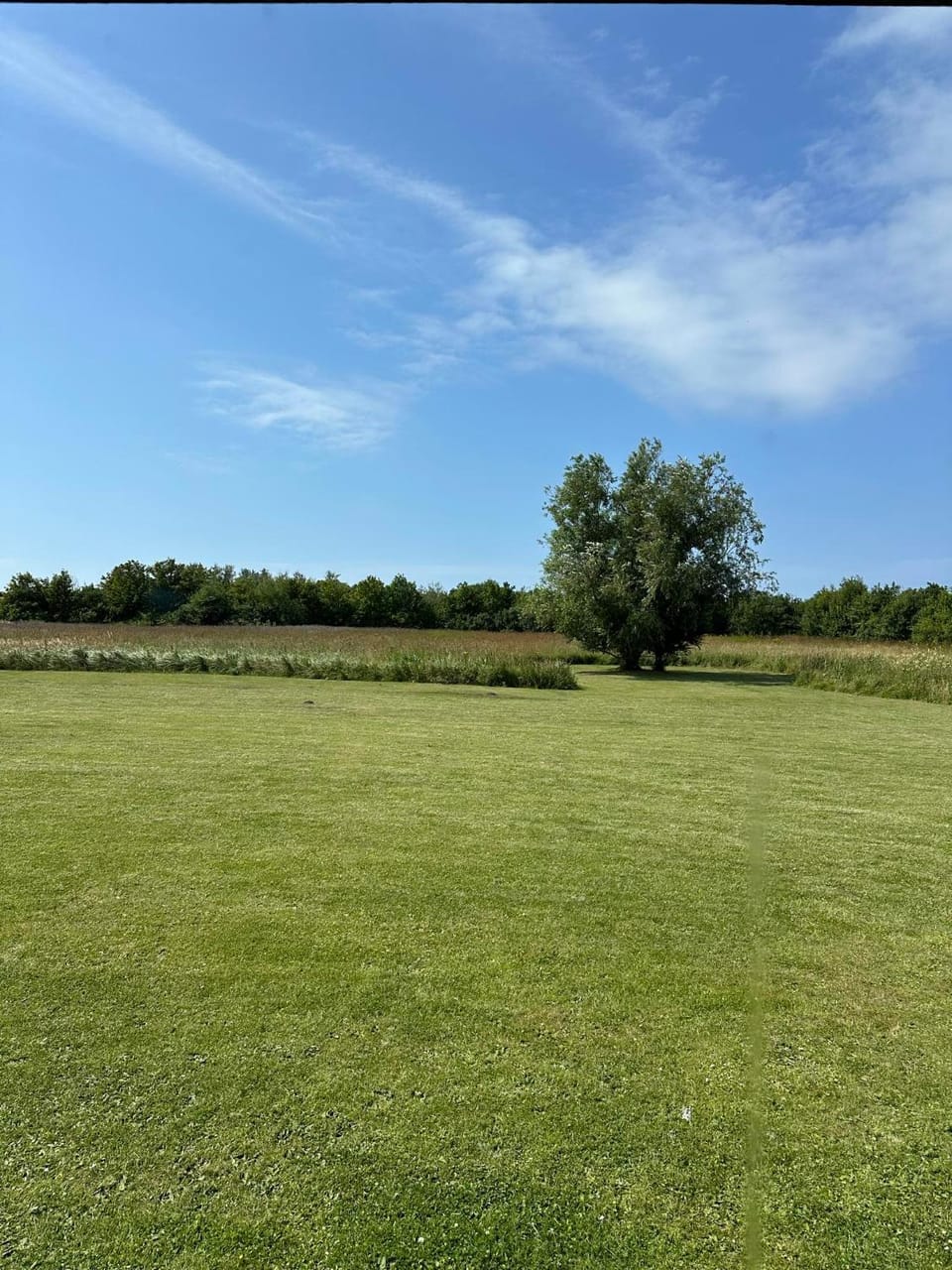 Natural landscape, View (from property/room), View (from property/room)