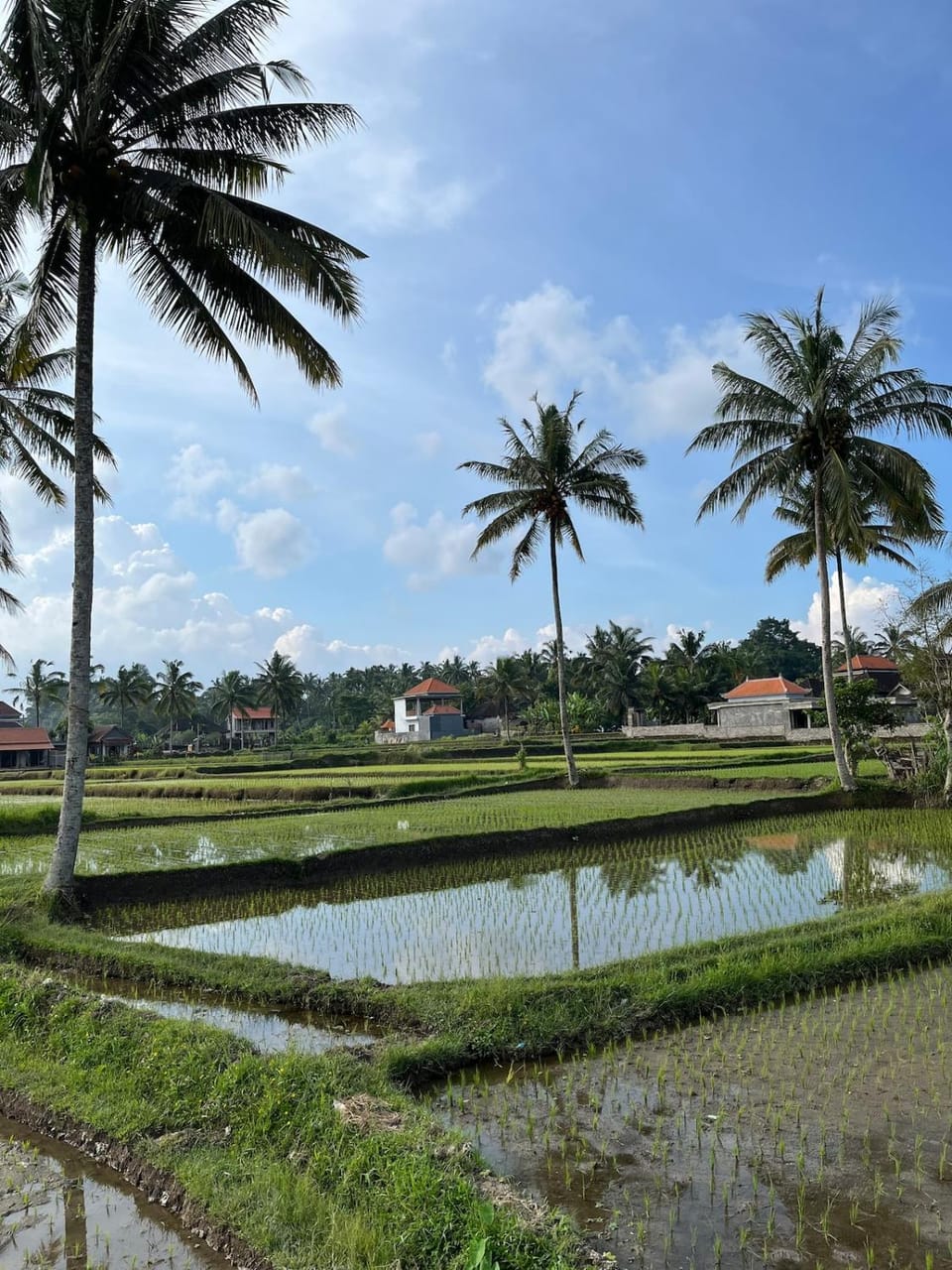 Natural landscape