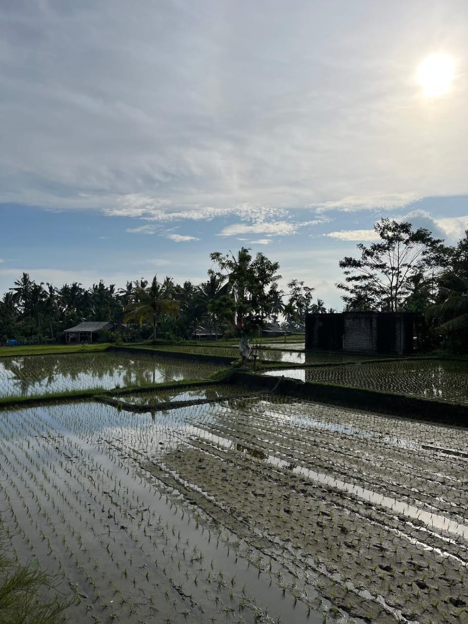 Natural landscape